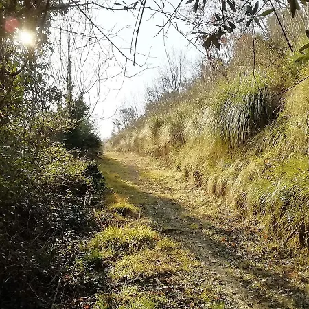 Terra Di Mezzo