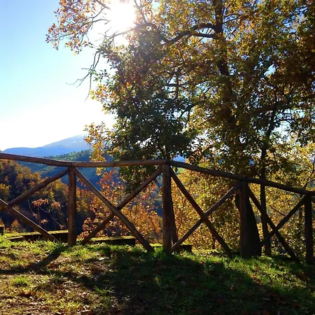 Terra Di Mezzo Ascoli Piceno