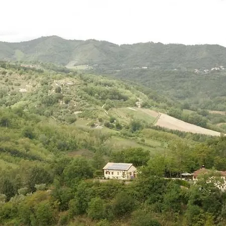 Terra Di Mezzo